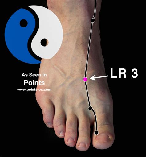 liver 3 acupuncture point location